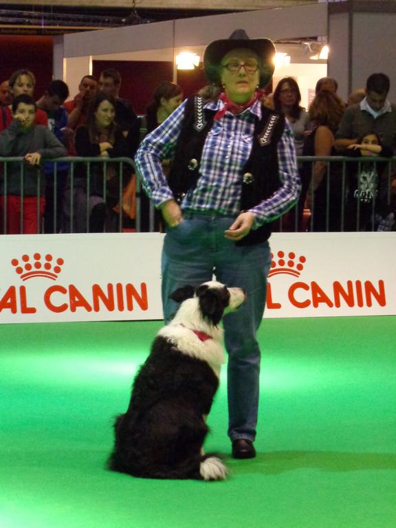 Clic pour l'image suivante