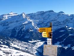 Clic pour agrandir l'image (1024x768 pixels; 135 KB)