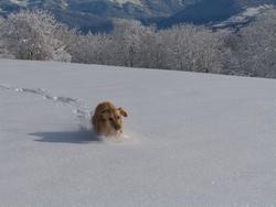 Clic pour agrandir l'image (1024x768 pixels; 104 KB)