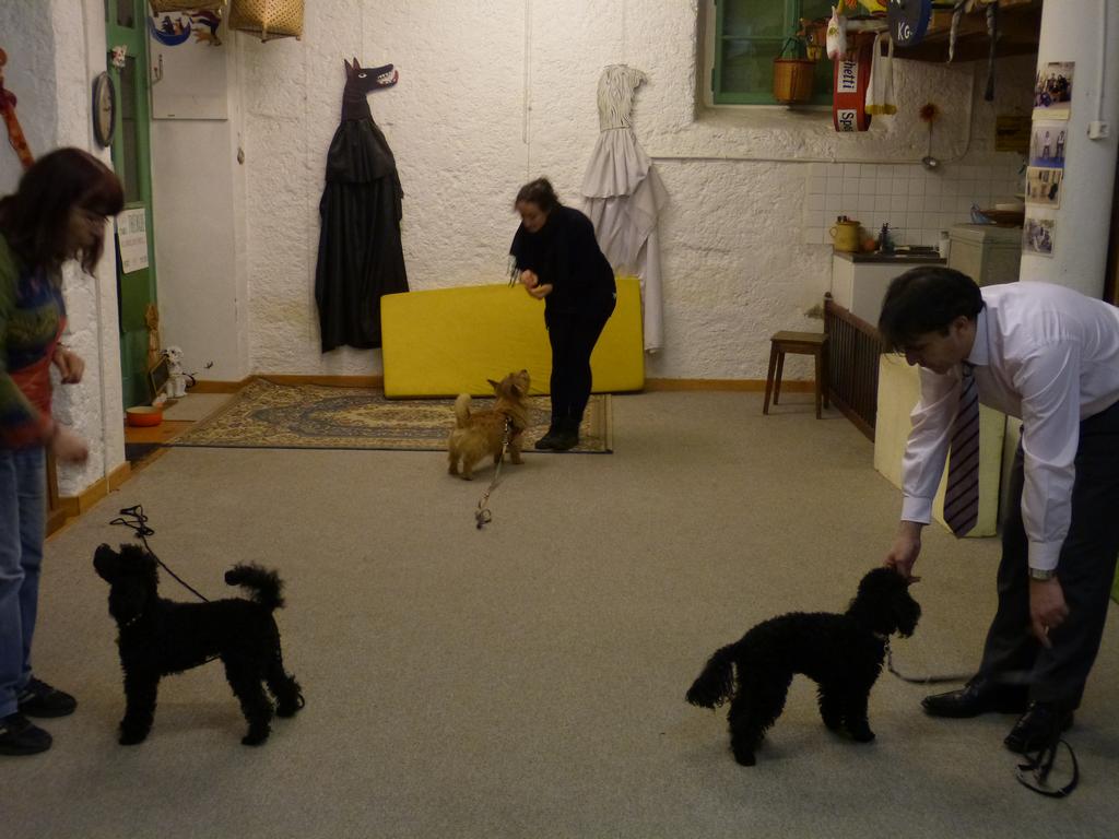 Clic pour l'image suivante