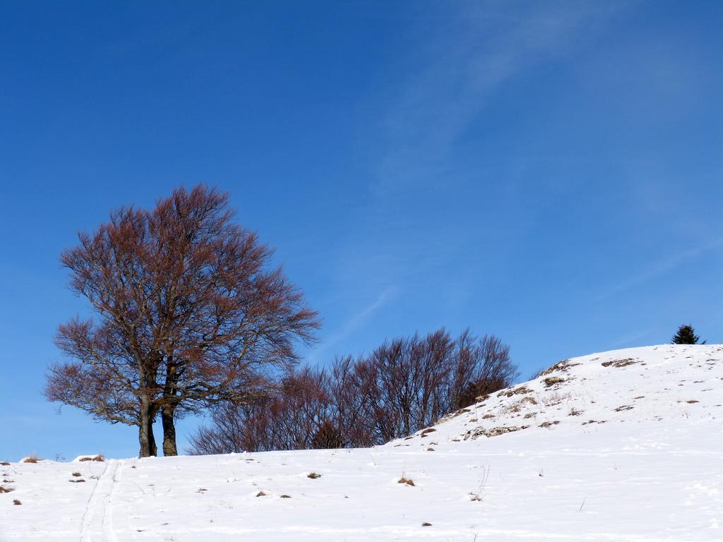 Clic pour l'image suivante