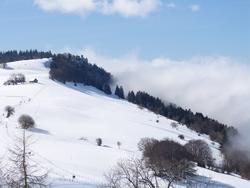 Clic pour agrandir l'image (1024x768 pixels; 83 KB)