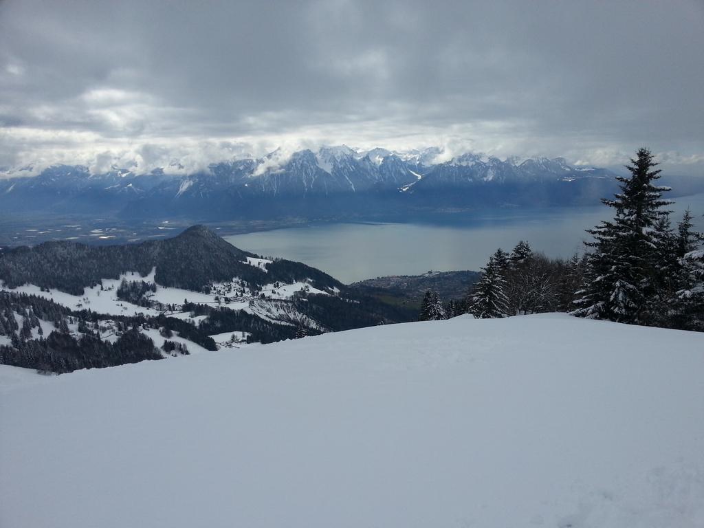 Clic pour l'image suivante