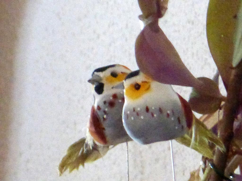 Clic pour l'image suivante