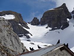 Clic pour agrandir l'image (1024x768 pixels; 102 KB)