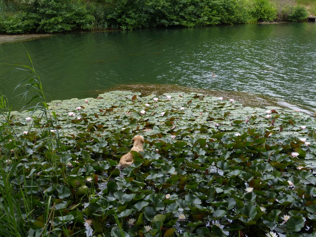 Clic pour l'image suivante