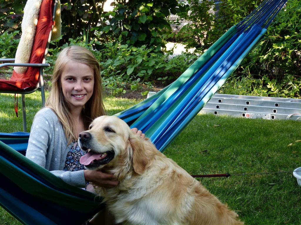 Clic pour l'image suivante