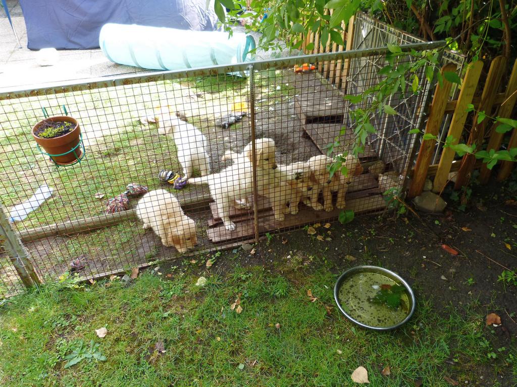 Clic pour l'image suivante