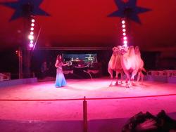 Clic pour agrandir l'image (1024x768 pixels; 72 KB)