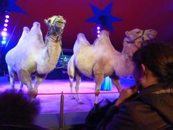 Clic pour agrandir l'image (1024x768 pixels; 82 KB)