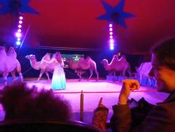 Clic pour agrandir l'image (1024x768 pixels; 76 KB)