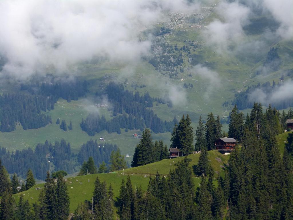 {Clic pour voir plus grand}