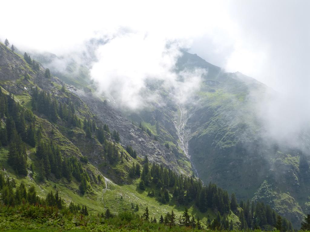 {Clic pour voir plus grand}