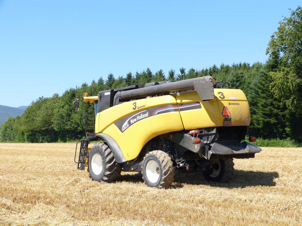 {Clic pour voir plus grand}