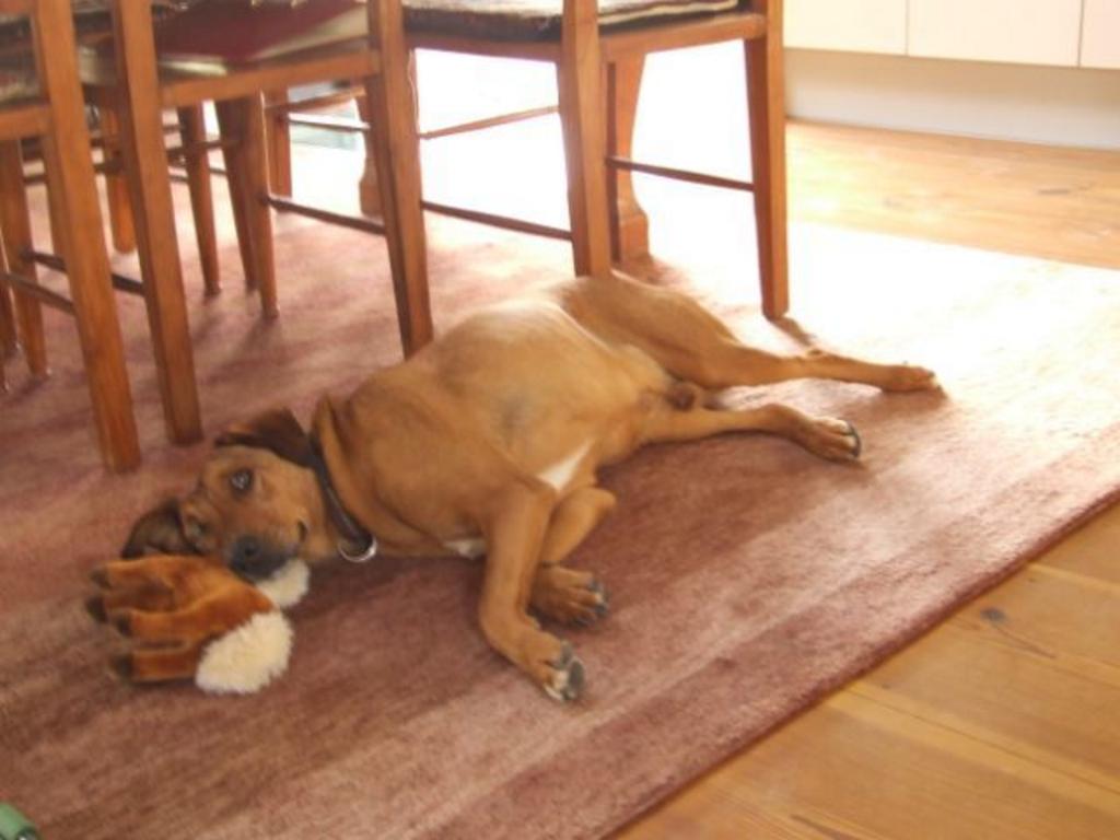 {Clic pour voir plus grand}