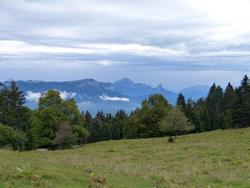 Click to see big picture (1024x768 pixels; 95 KB)