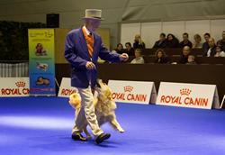 Click to see big picture (1024x706 pixels; 98 KB)