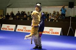 Click to see big picture (1024x683 pixels; 94 KB)