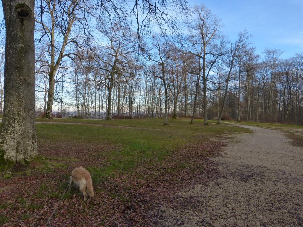 {Clic pour voir plus grand}