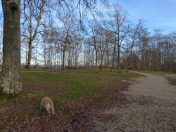 Click to see big picture (1024x768 pixels; 200 KB)