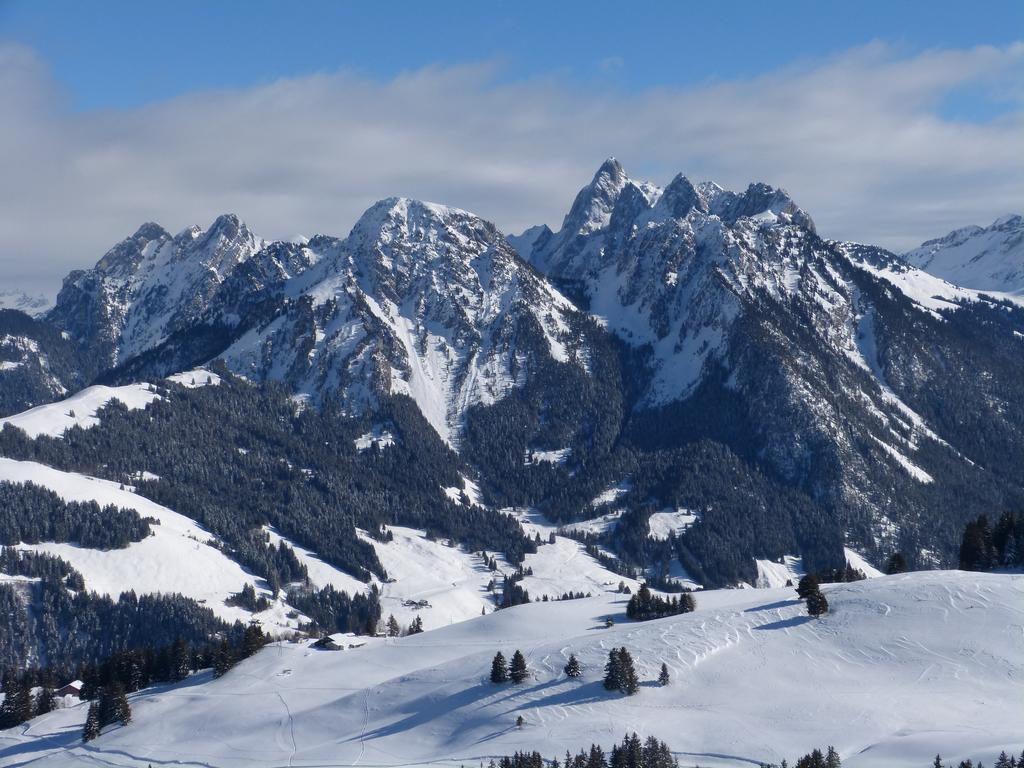 {Clic pour voir plus grand}