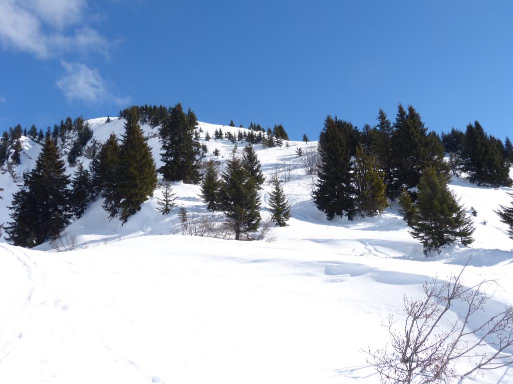 {Clic pour voir plus grand}