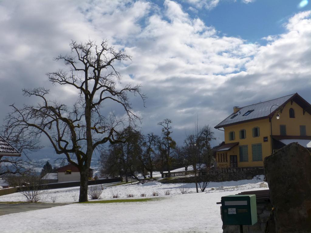 {Clic pour voir plus grand}