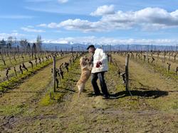 Click to see big picture (1024x768 pixels; 189 KB)