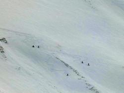 Click to see big picture (1024x768 pixels; 85 KB)