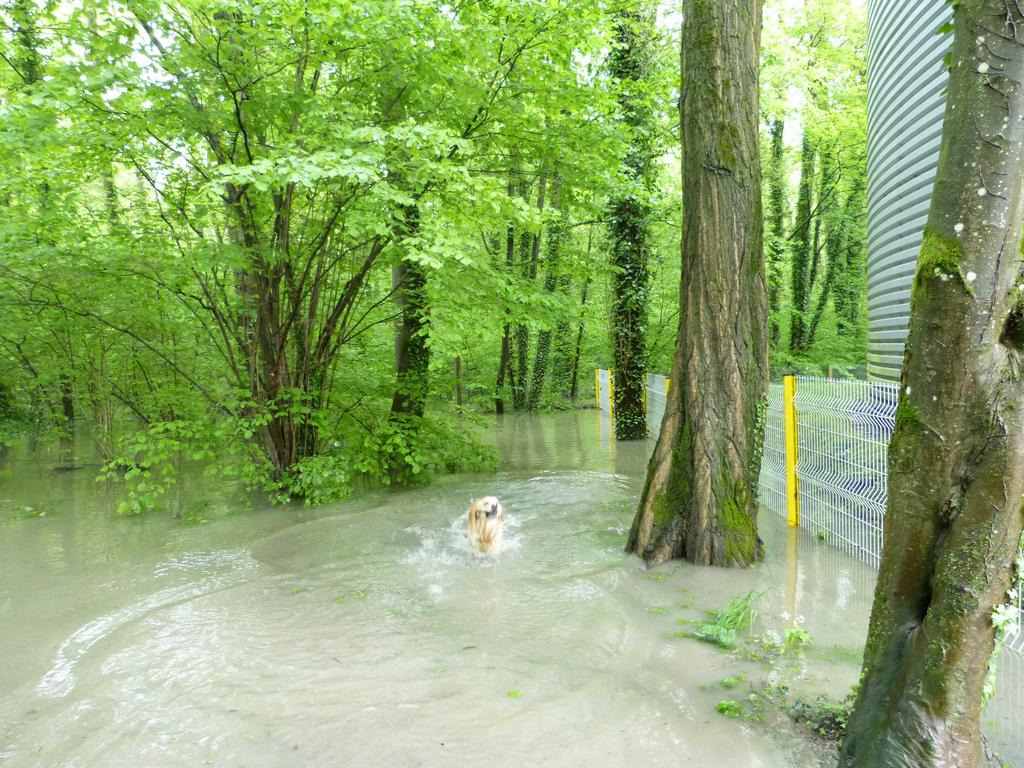 {Clic pour voir plus grand}