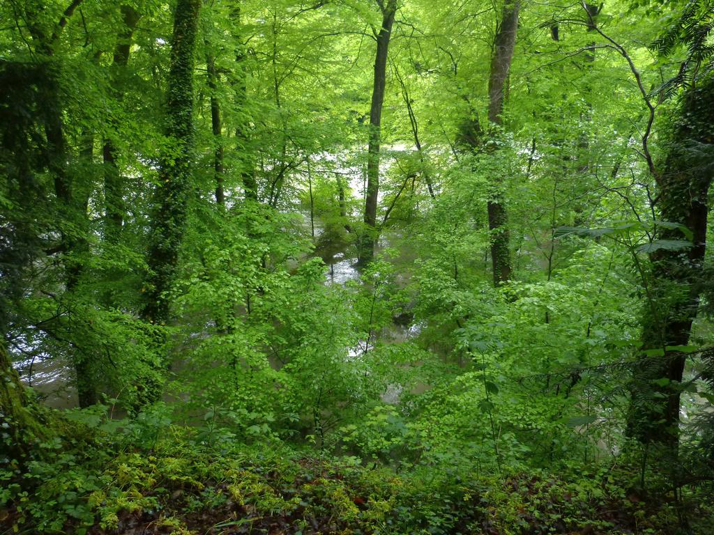 {Clic pour voir plus grand}