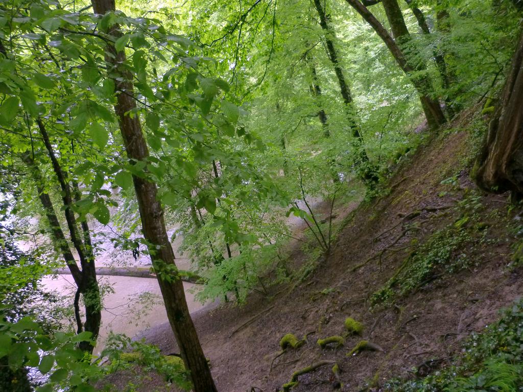 {Clic pour voir plus grand}