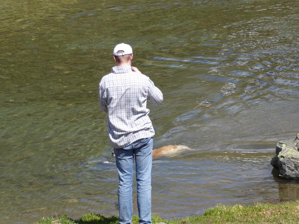 {Clic pour voir plus grand}