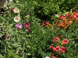 Click to see big picture (1024x768 pixels; 209 KB)