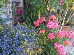 Click to see big picture (1024x768 pixels; 211 KB)