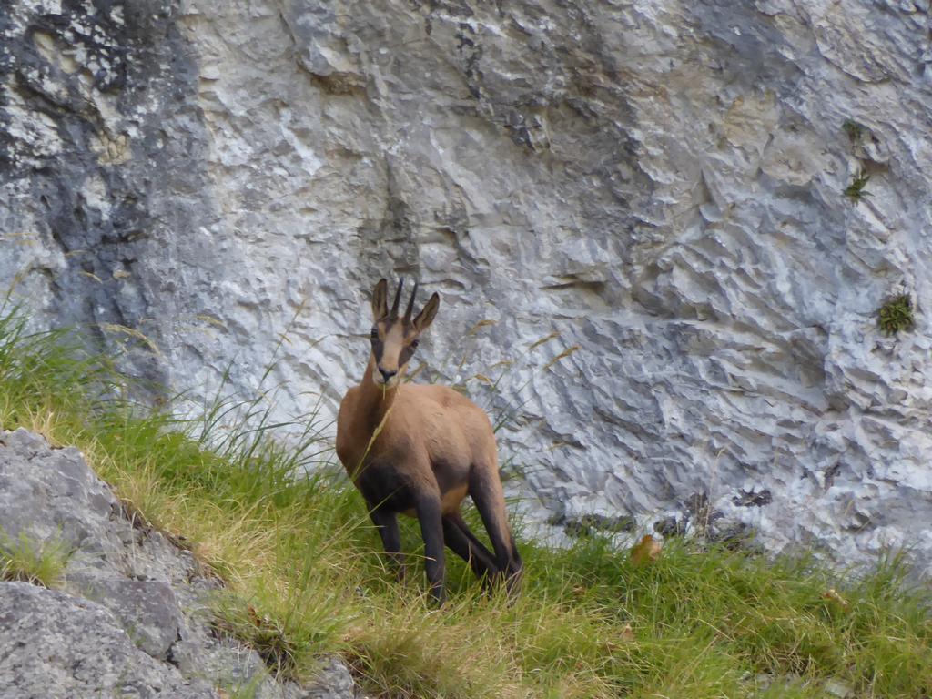 {Clic pour voir plus grand}