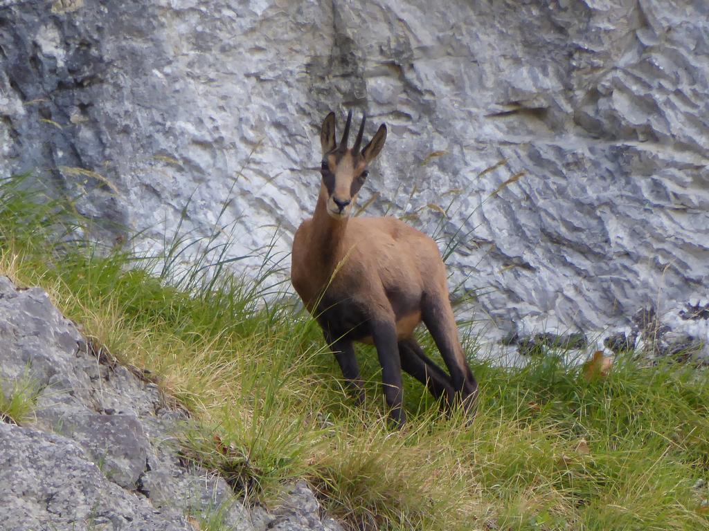 {Clic pour voir plus grand}