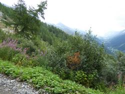 Click to see big picture (1024x768 pixels; 173 KB)