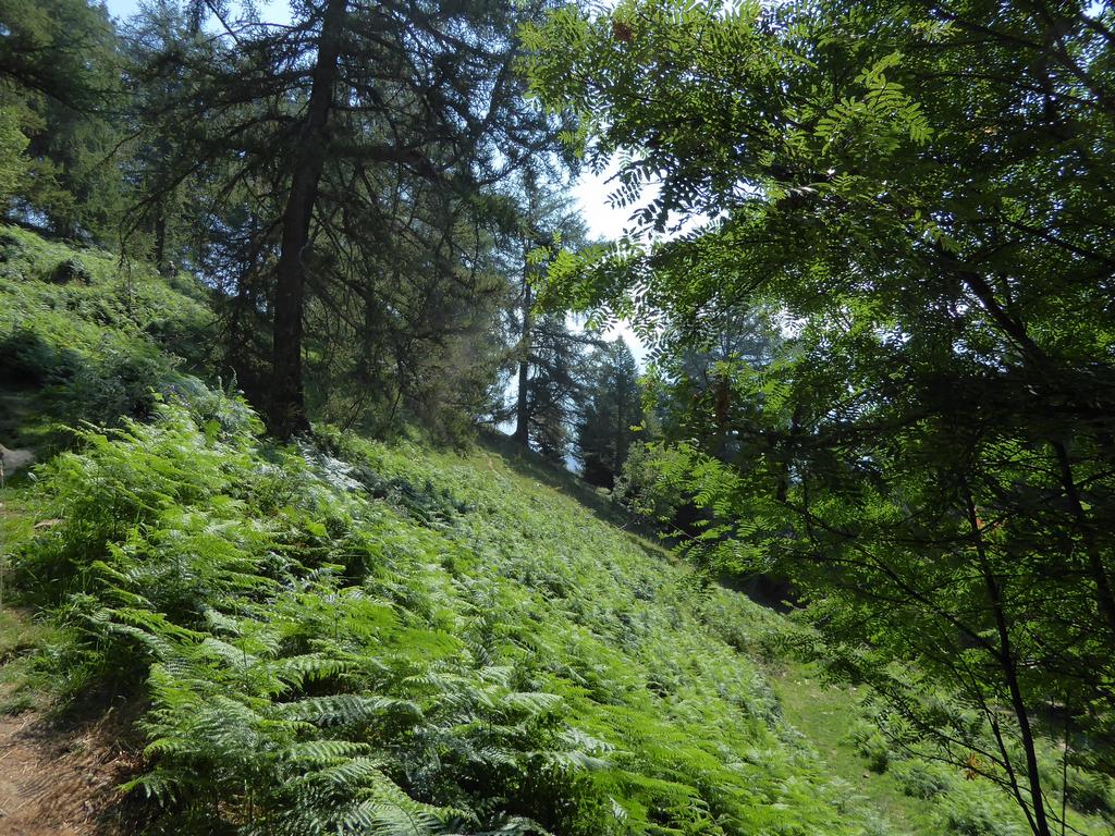 {Clic pour voir plus grand}