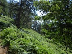 Click to see big picture (1024x768 pixels; 251 KB)