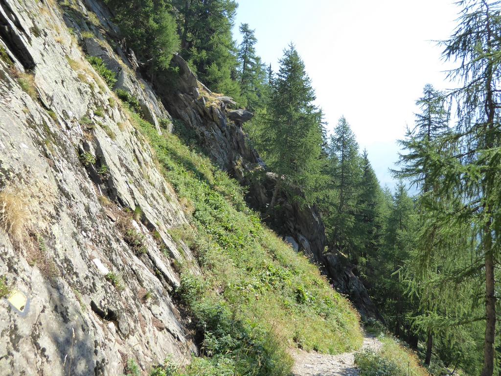 {Clic pour voir plus grand}