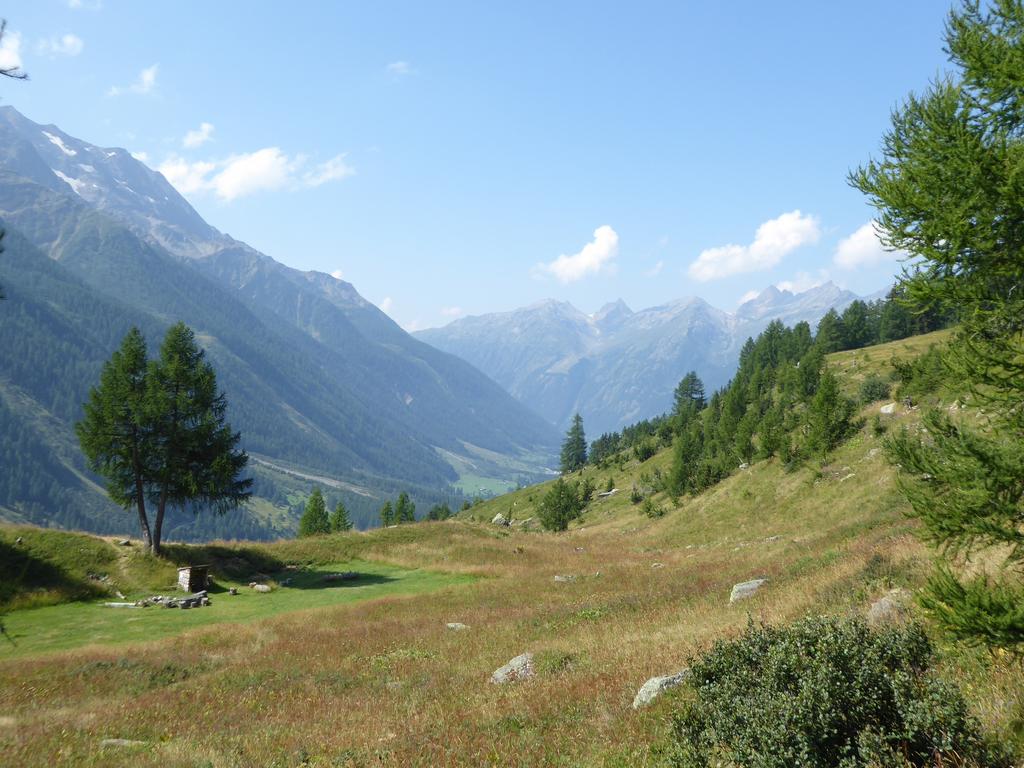 {Clic pour voir plus grand}