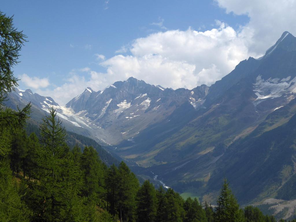 {Clic pour voir plus grand}