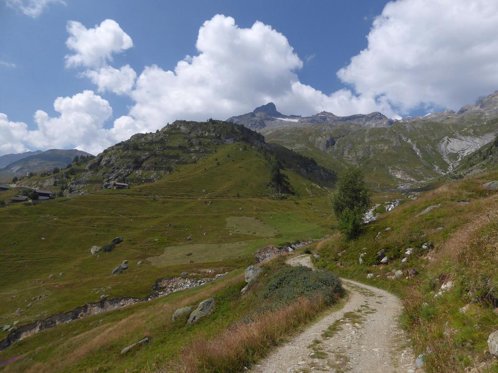 {Clic pour voir plus grand}