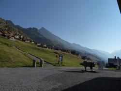 Click to see big picture (1024x768 pixels; 83 KB)