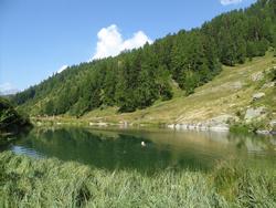 Click to see big picture (1024x768 pixels; 169 KB)