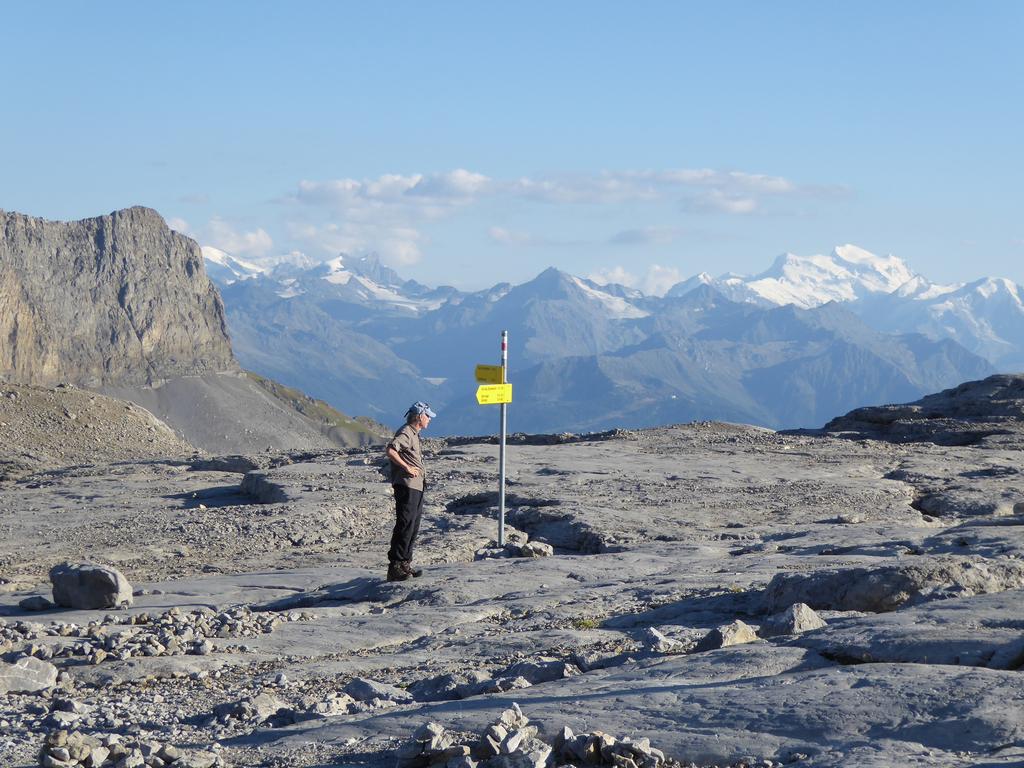 {Clic pour voir plus grand}