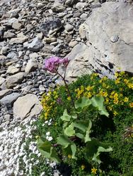 Click to see big picture (576x768 pixels; 152 KB)