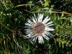 Click to see big picture (1024x768 pixels; 182 KB)