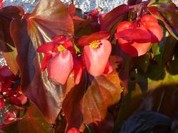 Click to see big picture (1024x768 pixels; 112 KB)